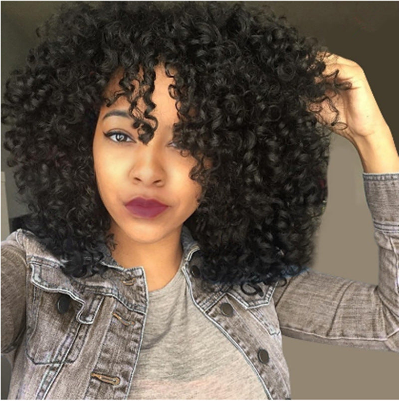 Short Curly Afro Wig