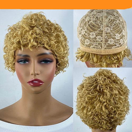 Short Curly Pixie Human Hair Wig