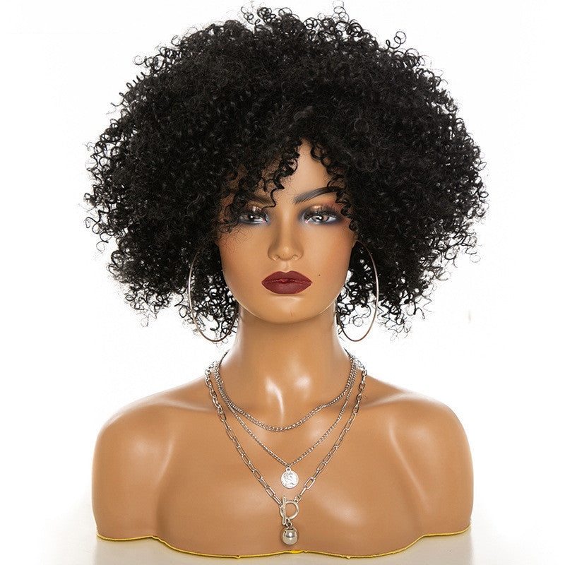 Afro Kinky Curly Wig