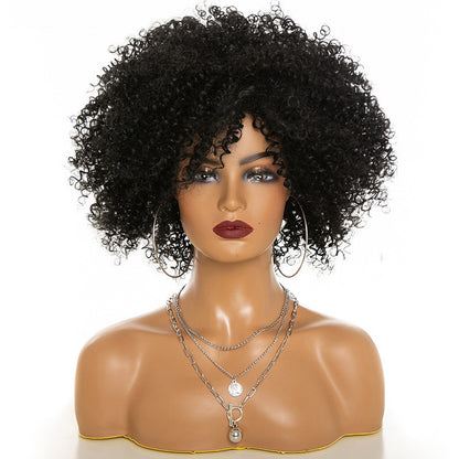 Afro Kinky Curly Wig