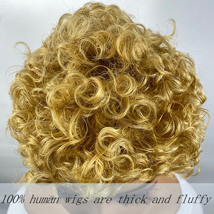 Short Curly Pixie Human Hair Wig
