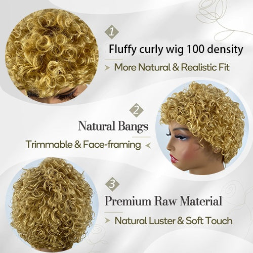 Short Curly Pixie Human Hair Wig