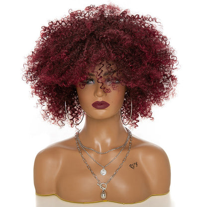 Afro Kinky Curly Wig