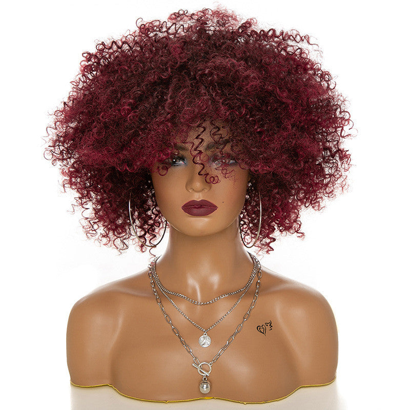 Afro Kinky Curly Wig