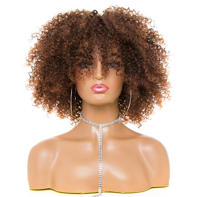 Afro Kinky Curly Wig
